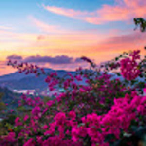 Meet your Posher, Hadley